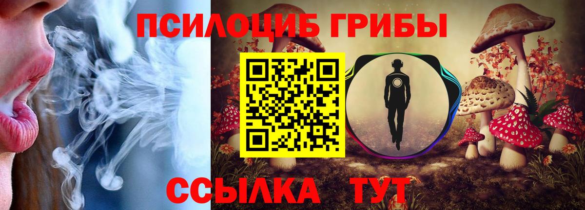 Галлюциногенные грибы мицелий  Вход с VPN  Семилуки  Галлюциногенные грибы мицелий 